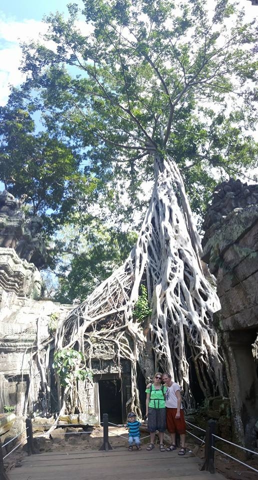 Onder de beroemde boom van Ta Phrom.