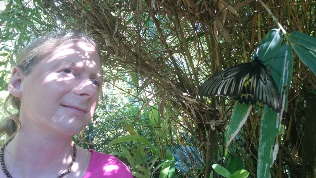 Allemaal vlindertjes