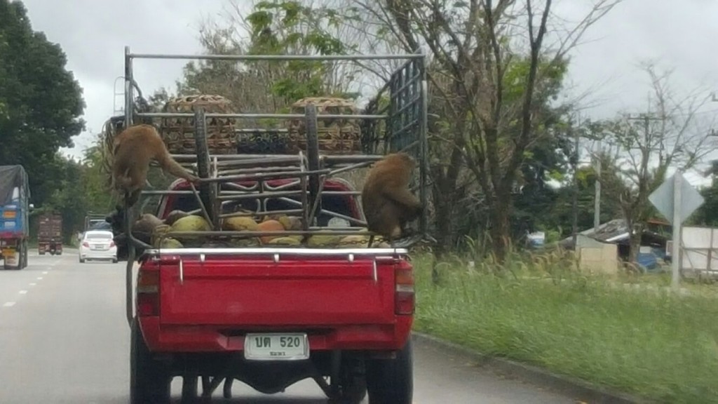 Ik heb mijn wagen volgeladen...